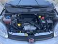 Fiat Panda 1.3 mjt 16v Easy s&s 95cv Bianco - thumbnail 15