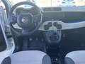 Fiat Panda 1.3 mjt 16v Easy s&s 95cv Bianco - thumbnail 13