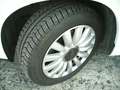 Fiat 500L 1.6 D Multijet Business 105 cv. Lounge Blanc - thumbnail 9