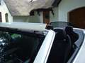 Mercedes-Benz E 450 Cabrio 4MATIC AMG Line Blanc - thumbnail 13