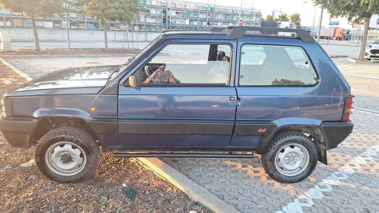 Fiat Panda 1.1 Country Club 4x4 cat., foto 4
