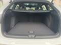Volkswagen Golf Variant R-Line 1,5 l eTSI OPF 110 k W (150 Blanco - thumbnail 6