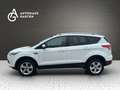 Ford Kuga 1.5 Sync Edition Xenon/Navi/SHZ/PDC/1.Hand/ Weiß - thumbnail 2