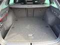 Skoda Octavia RS 4x4 Schwarz - thumbnail 14