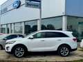Kia Sorento 2.2CRDi Emotion 4x4 Aut. Blanco - thumbnail 3