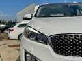 Kia Sorento 2.2CRDi Emotion 4x4 Aut. Blanco - thumbnail 10