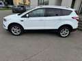 Ford Kuga Edition 1.5 TDCi Bianco - thumbnail 2