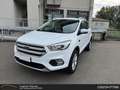 Ford Kuga Edition 1.5 TDCi Bianco - thumbnail 1