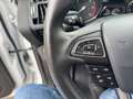 Ford Kuga Edition 1.5 TDCi Bianco - thumbnail 12