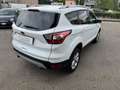 Ford Kuga Edition 1.5 TDCi Bianco - thumbnail 5