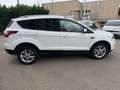 Ford Kuga Edition 1.5 TDCi Bianco - thumbnail 6