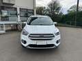 Ford Kuga Edition 1.5 TDCi Bianco - thumbnail 8