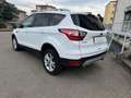 Ford Kuga Edition 1.5 TDCi Bianco - thumbnail 3
