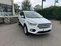 Ford Kuga Edition 1.5 TDCi Bianco - thumbnail 7