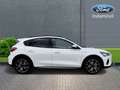 Ford Focus 1.0 Ecoboost MHEV Active 155 Bianco - thumbnail 6
