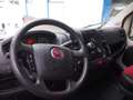 Fiat Ducato 2.3MJET 130CV ATTREZZATO PochiKm Bianco - thumbnail 9