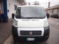 Fiat Ducato 2.3MJET 130CV ATTREZZATO PochiKm Bianco - thumbnail 8