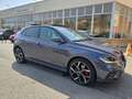 Volkswagen Polo 2.0 TSI GTI DSG 152KW Gris - thumbnail 3