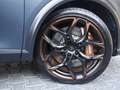 CUPRA Formentor 2.5 TSI VZ5 4Drive LED 360° BEATS Gris - thumbnail 5