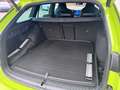 Skoda Octavia Sportline TSI mHEV DSG Grün - thumbnail 6
