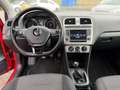 Volkswagen Polo Polo V 5p 1.4 tdi bm Highline 90cv Rood - thumbnail 9