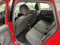 Volkswagen Polo Polo V 5p 1.4 tdi bm Highline 90cv Rood - thumbnail 15