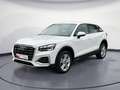 Audi Q2 30 TDI advanced Matrix/AHK/ACC/Asisst/uvm. Weiß - thumbnail 2