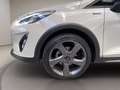 Ford Fiesta Active 1.0 ecoboost s&s 100cv my19.5 Bianco - thumbnail 8