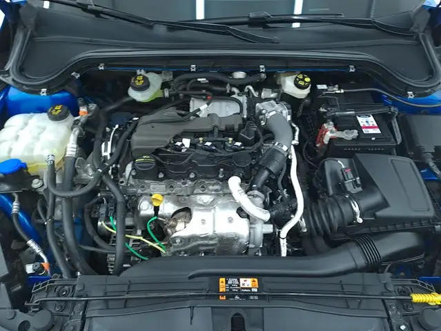Ford Focus view 13