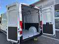 Fiat Ducato Blanc - thumbnail 19