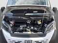 Fiat Ducato Blanc - thumbnail 16
