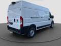 Fiat Ducato Blanc - thumbnail 4