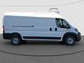 Fiat Ducato Blanc - thumbnail 5