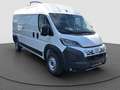 Fiat Ducato Blanc - thumbnail 6
