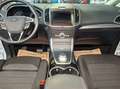 Ford S-Max 2.0 EcoBlue Titanium Aut. AHK, ACC, LED, W-Paket Weiß - thumbnail 8