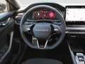 Skoda Octavia Combi RS 2.0TSI DSG 19"|360°|AHK|ACC|DCC Schwarz - thumbnail 14