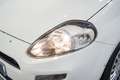 Fiat Punto 1.3Mjt Pop E5+ Blanco - thumbnail 10