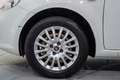 Fiat Punto 1.3Mjt Pop E5+ Blanco - thumbnail 11