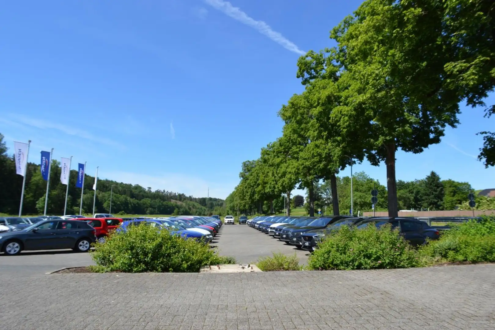 Skoda Karoq 1.5 TSI Sportline DSG Area View AHK Navi Klima Grau - 2
