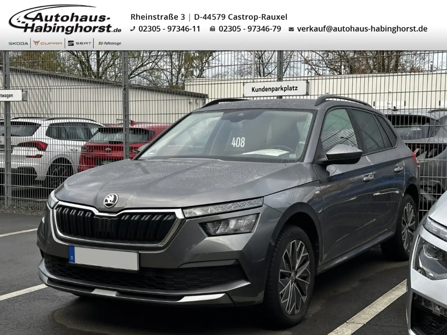 Skoda Kamiq 1.0 TSI DSG Tour Klima PDC Shz CarPlay Alu Grau - 1