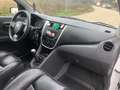 Suzuki Celerio 1.0 Style *NEOPATENTATI- GARANZIA 12 MESI* Bianco - thumbnail 9