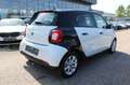 smart forFour forfour electric drive / EQ Weiß - thumbnail 5
