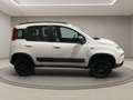 Fiat Panda 4x4 5 POSTI PRONTA CONSEGNA! Bianco - thumbnail 8