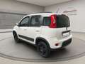 Fiat Panda 4x4 5 POSTI PRONTA CONSEGNA! Bianco - thumbnail 3