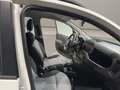 Fiat Panda 4x4 5 POSTI PRONTA CONSEGNA! Bianco - thumbnail 15