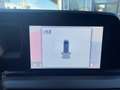Ford Transit Courier Transit Courier V769 1.5 Ecoblue 100cv Trend Bianco - thumbnail 16