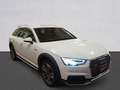 Audi A4 allroad A4 2016 Allroad Quattro 40 2.0 tdi 190cv s-tronic Bianco - thumbnail 3