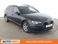 Audi A4 35 TDI Aut. *NAVI*BI-XENON*ACC*PDC* Gris - thumbnail 8