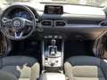 Mazda CX-5 CD150 AWD Revolution Aut. Grau - thumbnail 20