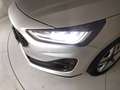Ford Focus 1.5 ecoblue Business 120cv auto Argintiu - thumbnail 6